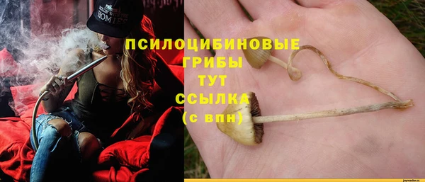 мет Коряжма