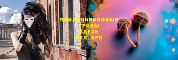 Альфа ПВП Корсаков