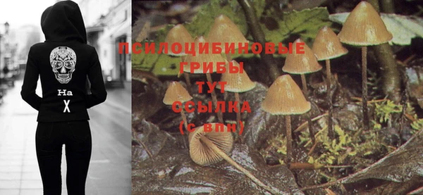Альфа ПВП Корсаков