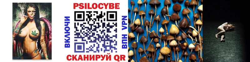 Купить  Ковдор  Псилоцибиновые грибы мицелий 